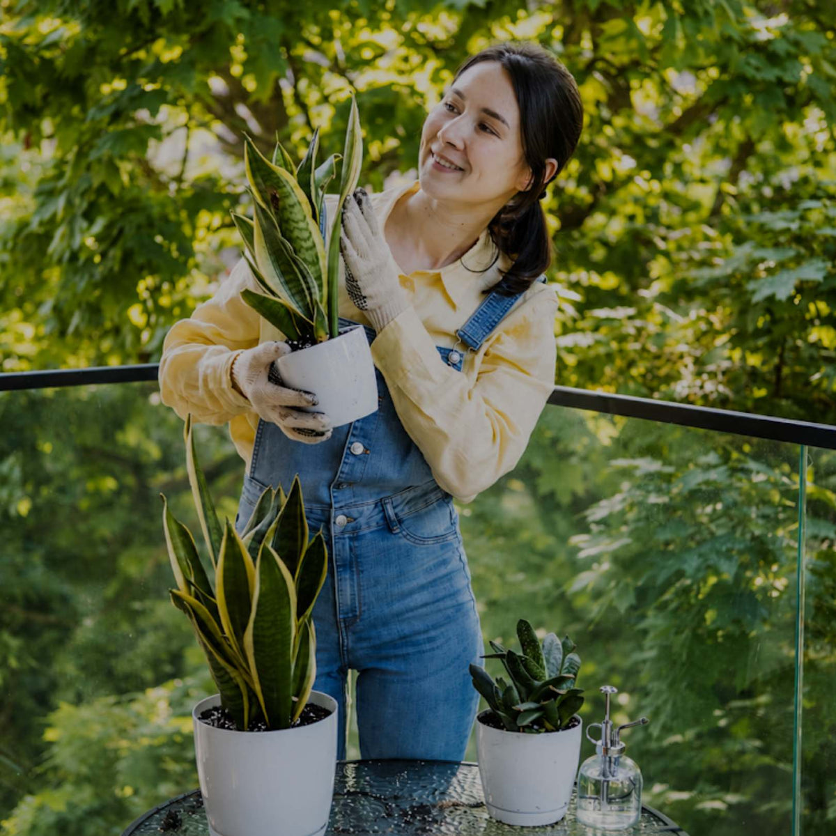 A woman smiling while holding a potted snake plant on a balcony, wearing blue denim overalls and a yellow shirt, with other potted plants in the foreground against a lush green background.