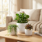 3-Piece White Stoneware Planter Set with Line Texture