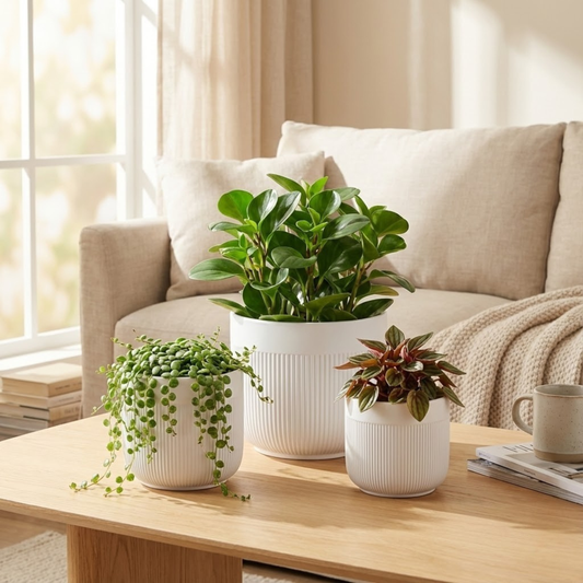 3-Piece White Stoneware Planter Set with Line Texture