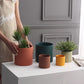 Nordic Colorful Ceramic Cylindrical Planter with Drainage Tray