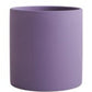 Nordic Colorful Ceramic Cylindrical Planter with Drainage Tray