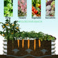 Heavy Duty Galvanized Raised Garden Bed Kit For Vegetables, Flowers & Herbs