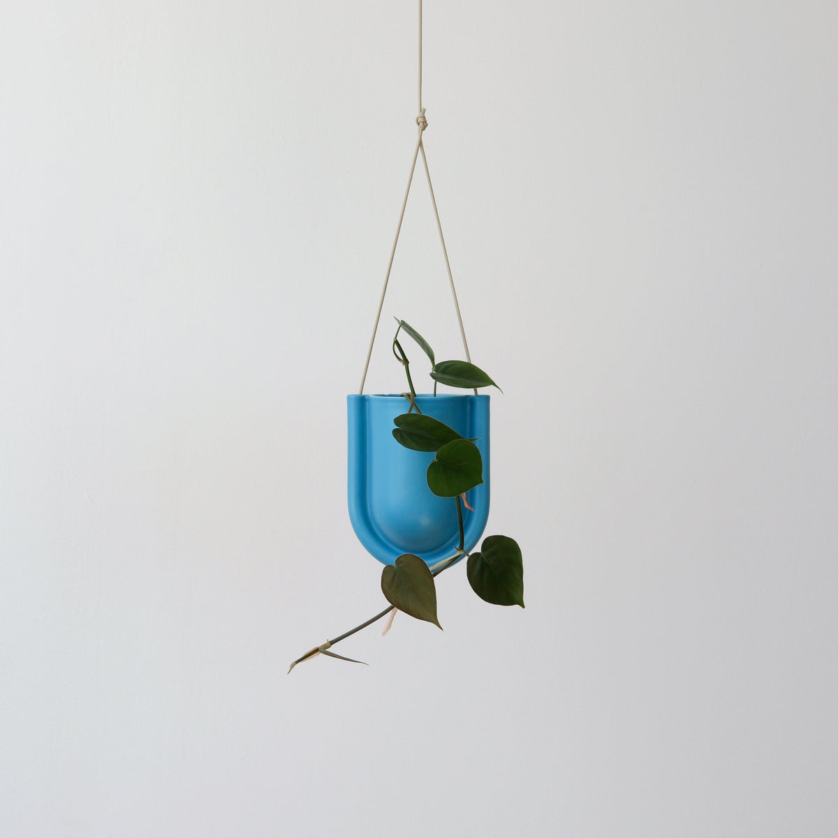 Portico Planter for Stylish Indoor and Outdoor Decor