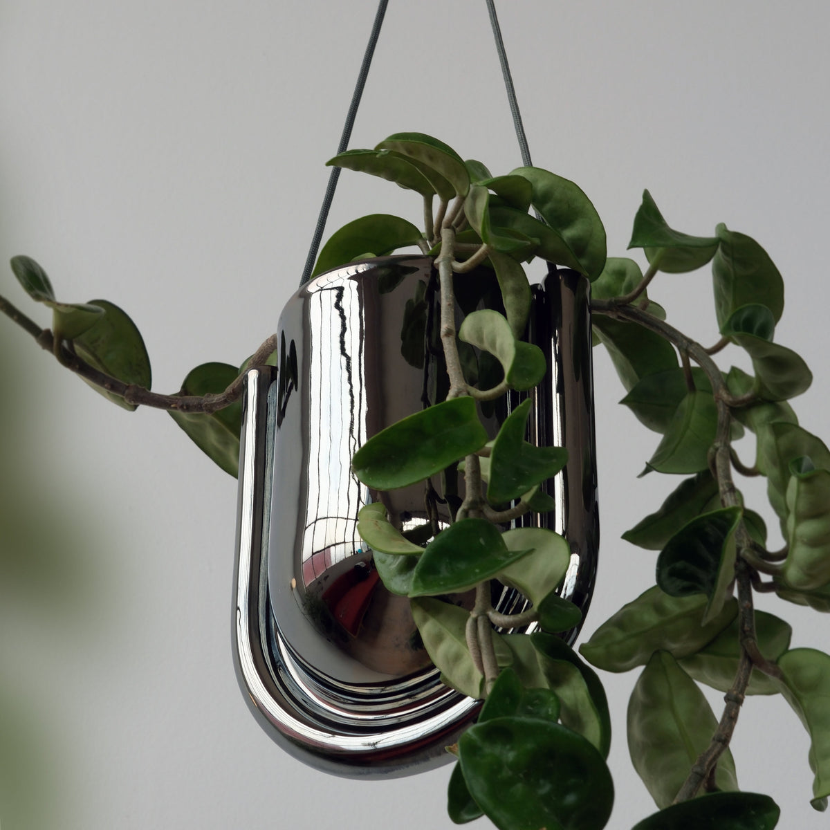 Portico Planter for Stylish Indoor and Outdoor Decor