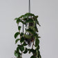 Portico Planter for Stylish Indoor and Outdoor Decor