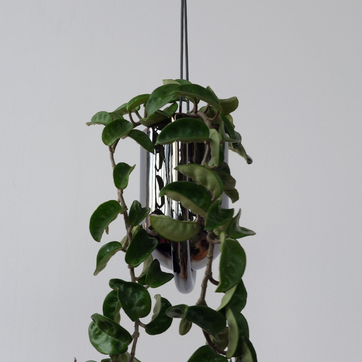 Portico Planter for Stylish Indoor and Outdoor Decor