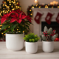 3-Piece White Stoneware Planter Set with Line Texture