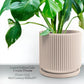 Mid Century Ribbed Planter for Modern Home Decor