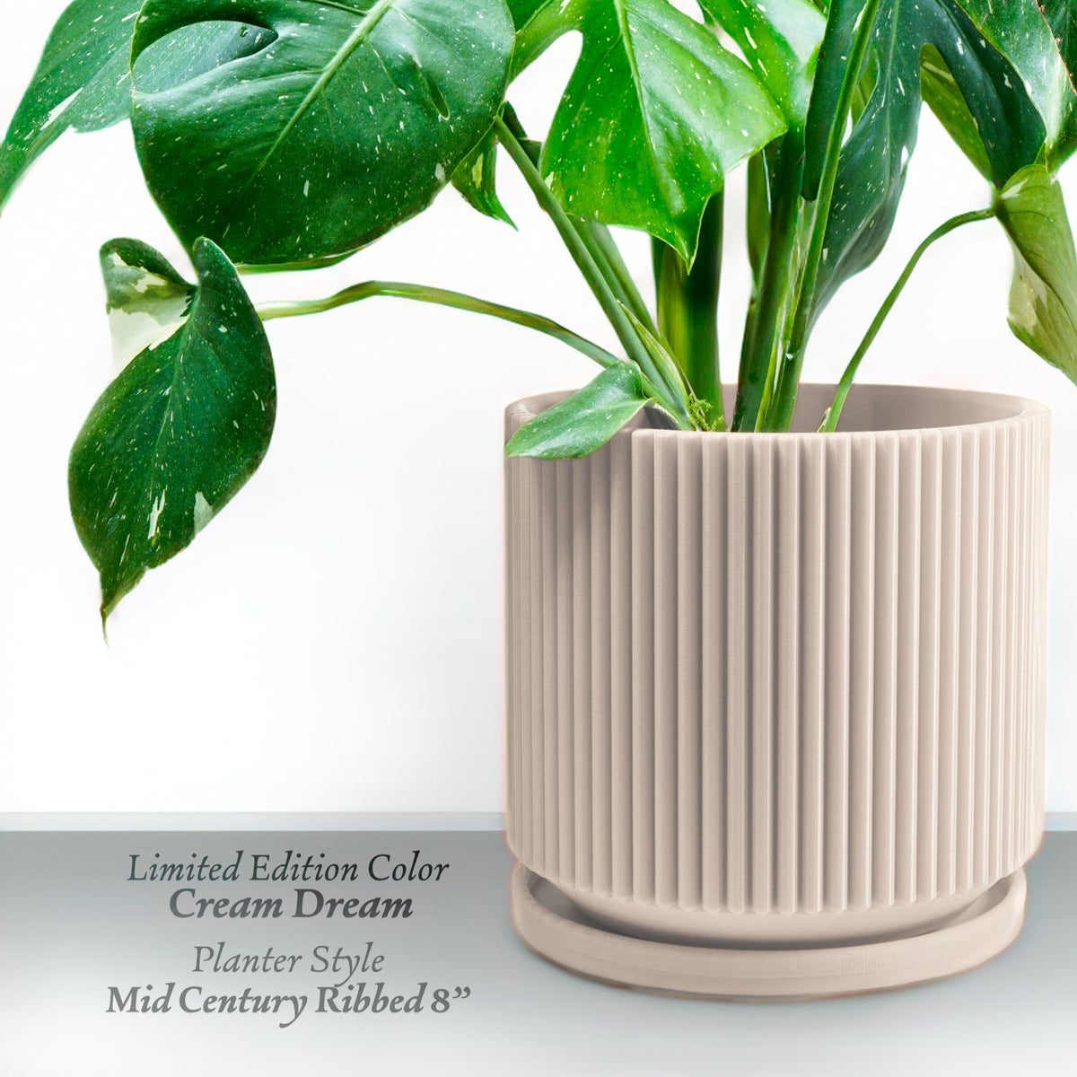 Mid Century Ribbed Planter for Modern Home Decor