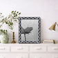 Pearlescent Tiptoe Mother of Pearl Resin Picture Frames