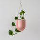 Portico Planter for Stylish Indoor and Outdoor Decor