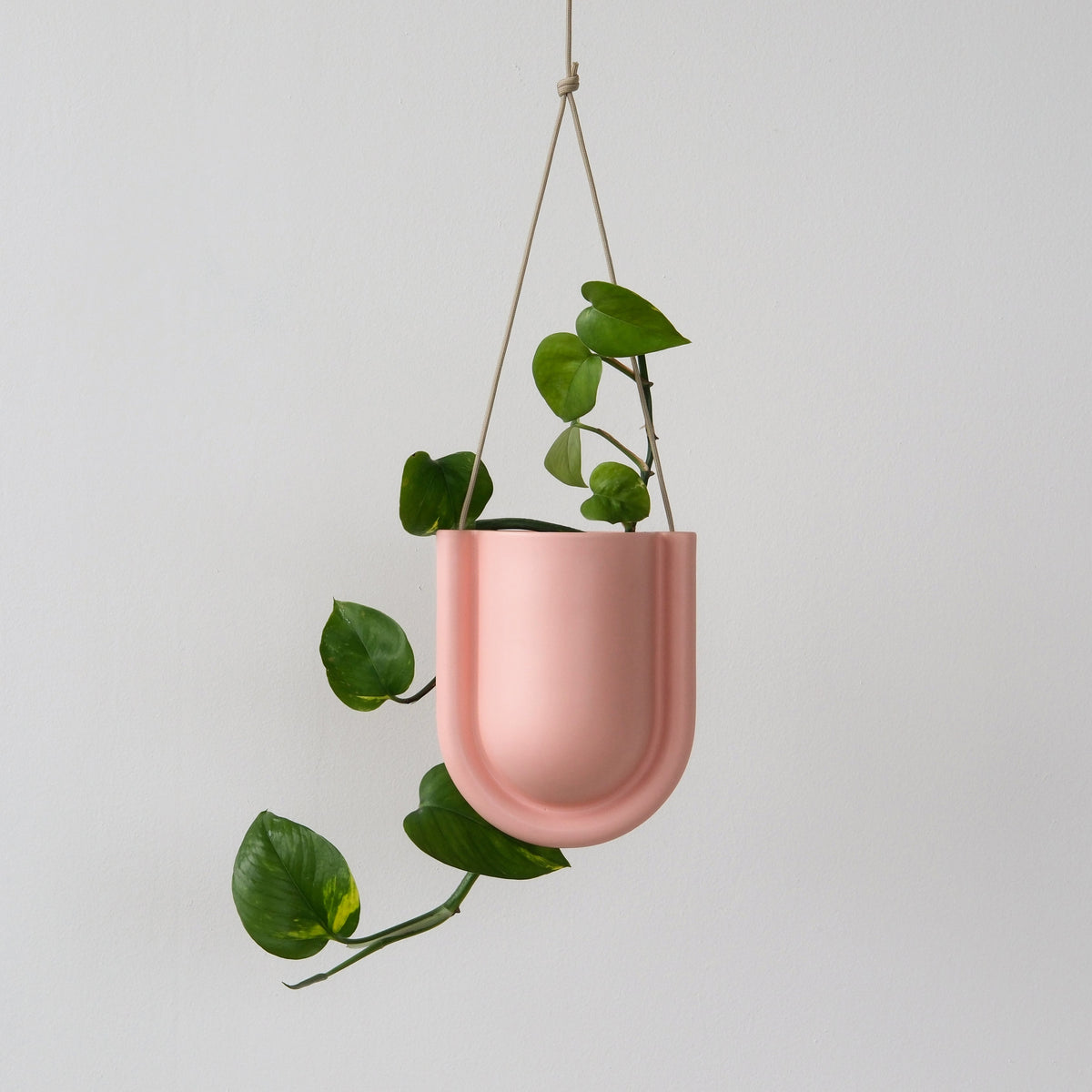 Portico Planter for Stylish Indoor and Outdoor Decor