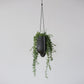 Portico Planter for Stylish Indoor and Outdoor Decor