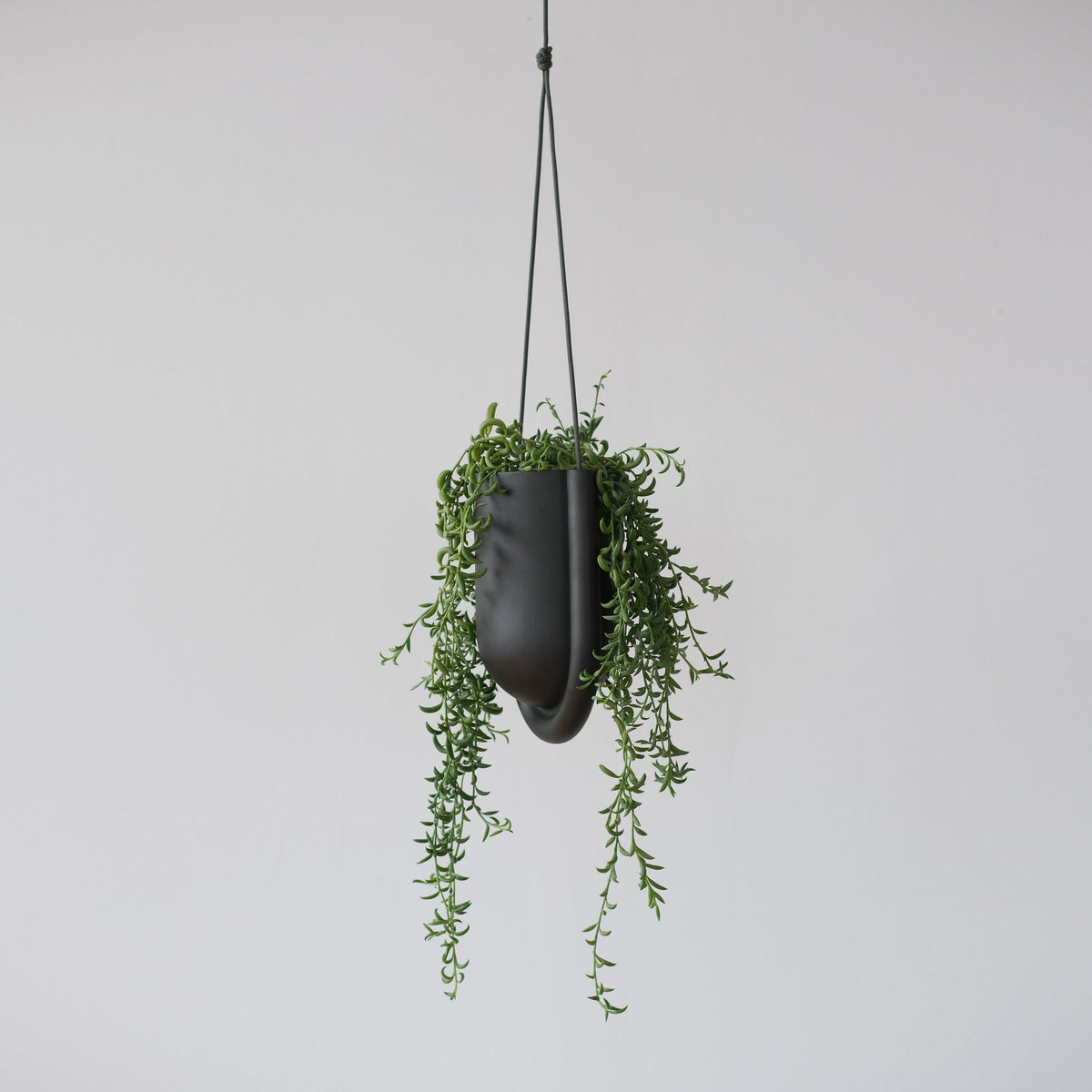 Portico Planter for Stylish Indoor and Outdoor Decor