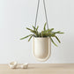 Portico Planter for Stylish Indoor and Outdoor Decor