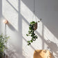 Portico Planter for Stylish Indoor and Outdoor Decor