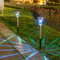 Solar Outdoor LED Garden Light for Pathways