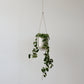 Portico Planter for Stylish Indoor and Outdoor Decor