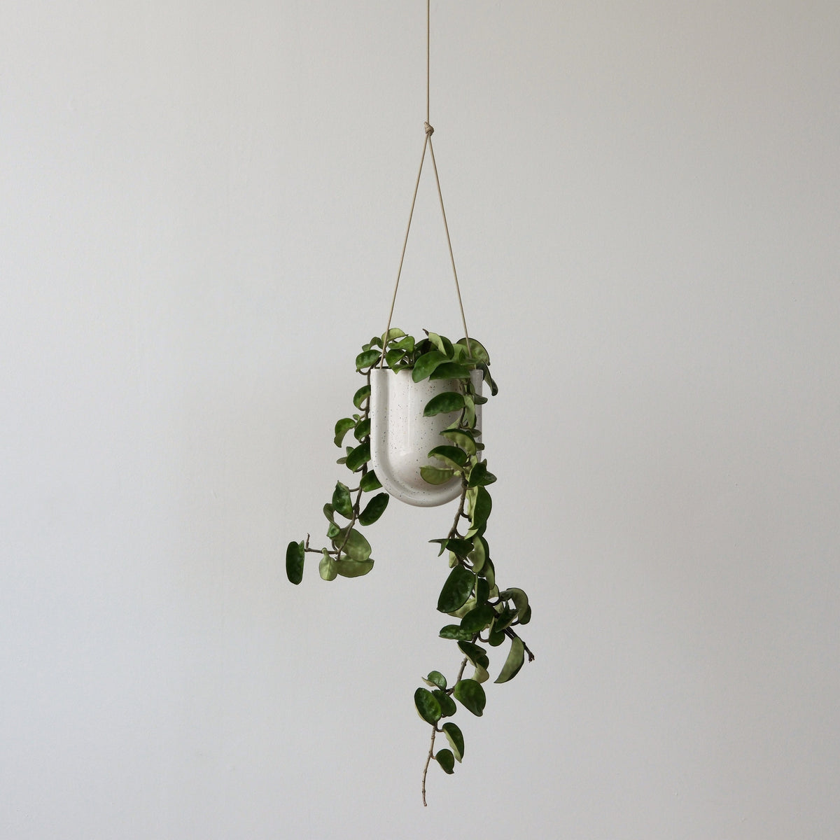 Portico Planter for Stylish Indoor and Outdoor Decor