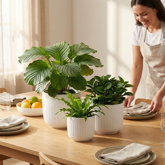 3-Piece White Stoneware Planters with Vertical Groove Texture