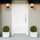 22in Boxwood Ball Shaped Artificial Topiary Shrubs Tree in Pot - Set of 2