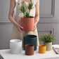 Nordic Colorful Ceramic Cylindrical Planter with Drainage Tray