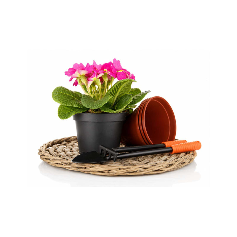 A potted pink flower with green leaves in a black pot, placed on a round woven mat with a terracotta pot, a black hand trowel, and an orange-handled gardening tool on a white background.