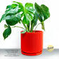 Mid Century Ribbed Planter for Modern Home Decor