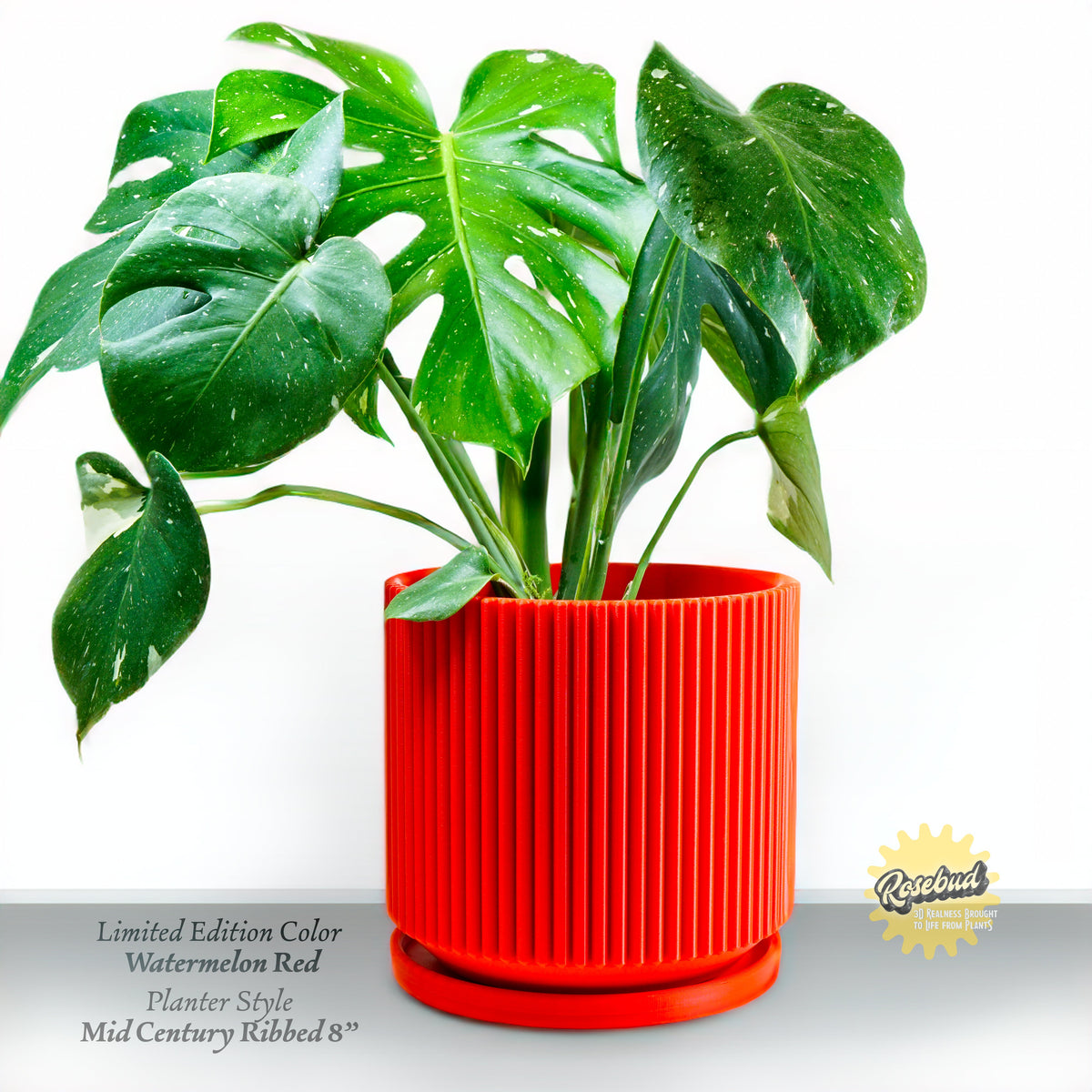 Mid Century Ribbed Planter for Modern Home Decor